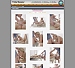 Tricky Masseur photos